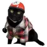 Sticker black-cat wp-image-96