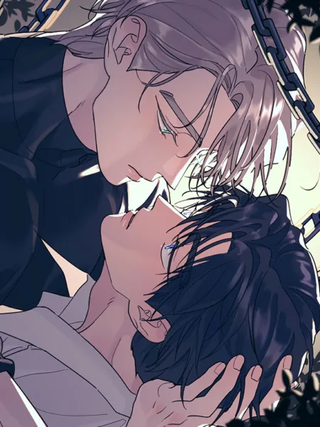 Ảnh bìa của Cây Không Rễ