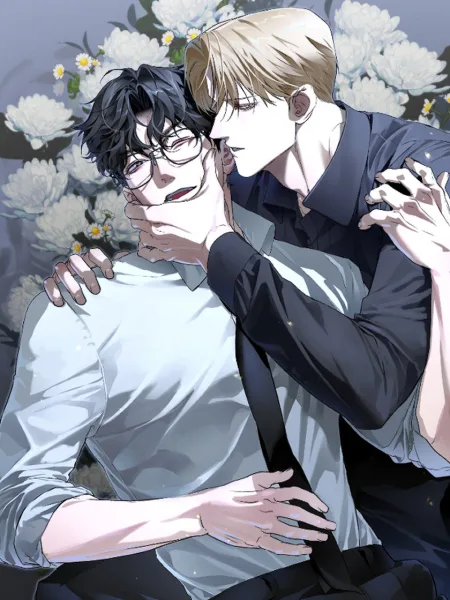 Ảnh bìa của Nơi May Mắn Và Vận Mệnh Giao Nhau