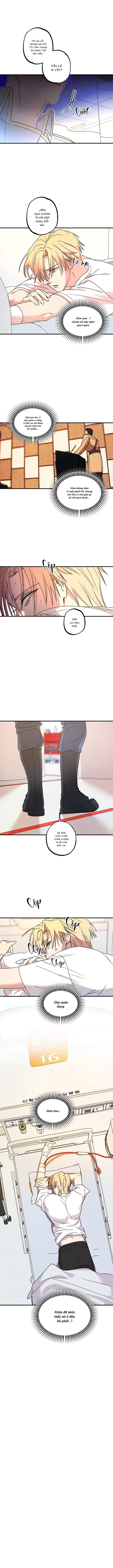 Chapter 16 - Image 3